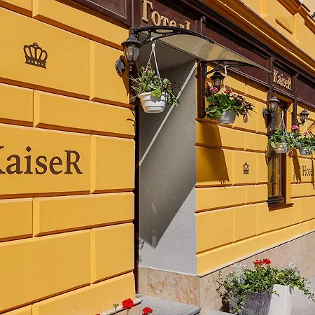 кайзер економ Lviv